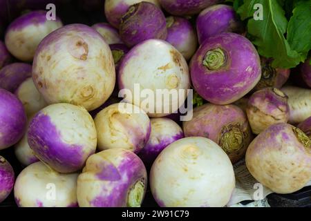 Radici di rapa esposte per la vendita alla greengrocery Foto Stock