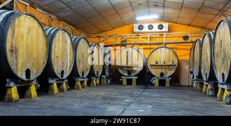 Botti di sidro nella Sidreria asturiana Foto Stock