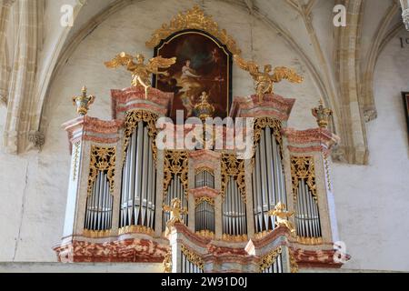 Barocke Orgel auf der Empore, darüber Gemälde der Heiligen Cäcilia orgelspielend, Piaristenkirche oder Kremser Frauenbergkirche, Altstadt Krems an der Donau, Niederösterreich, Österreich *** organo barocco sulla galleria, sopra un dipinto di San Cecilia che suona l'organo, Piaristenkirche o Frauenbergkirche a Krems, Old Town Krems an der Donau, bassa Austria, Austria Foto Stock