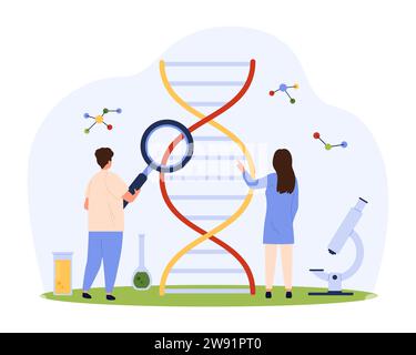 Ricerca genica, DNA e test genetico nell'illustrazione dei vettori di laboratorio. Cartoni animati persone piccole con lente d'ingrandimento studiano gli acidi nucleici e la struttura della molecola di DNA, scienziati con microscopio, loupe Illustrazione Vettoriale