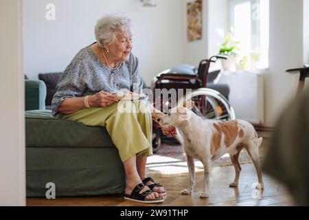 Donna anziana sorridente che tiene un piatto di cibo e accarezza il cane a casa Foto Stock