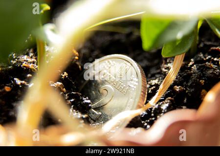 Una moneta da due hryvnia si trova nel terreno di una pianta verde, la crescita e l'economia dell'Ucraina, il denaro e la finanza Foto Stock