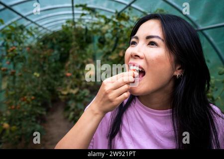 Donna che mangia pomodoro in serra Foto Stock