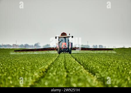 Serbia, provincia della Vojvodina, trattore che spruzza erbicida in un vasto campo di grano verde Foto Stock