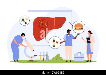 Ricerca sulla salute e le malattie del fegato. Piccole persone che avvertono di danni al fegato da infezione, avvelenamento da cattiva dieta di alcol e fast food, grafico infografico medico cartoon illustrazione vettore Illustrazione Vettoriale