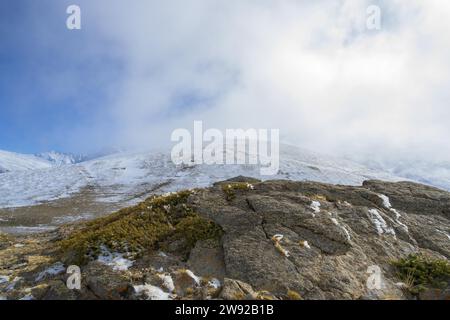 Bufera piena di neve nelle montagne della sierra nevada, granada, andalusia, spagna Foto Stock