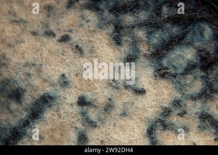 Foto macro di sfondo bianco-blu maculato, sfondo di vecchio tessuto sintetico carnoso Foto Stock