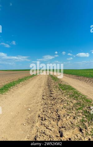 una strada sotto forma di pista usurata sul campo dopo il movimento di un gran numero di veicoli, una strada per veicoli senza asfalto Foto Stock