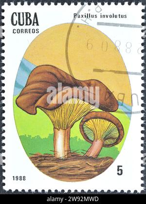 Francobollo cancellato stampato da Cuba, che mostra il fungo di Paxillus involutus, circa 1988. Foto Stock