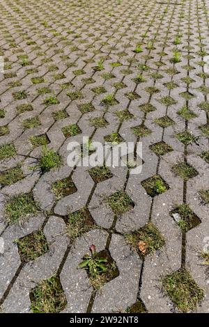 una piastrella con erba che cresce in essa, una moderna piastrella di cemento che consente alle piante di crescere Foto Stock