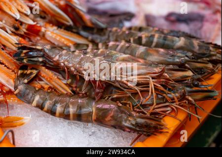 Assortimento giornaliero di gamberoni, gamberetti, pesci, conchiglie, molluschi sul ghiaccio sul mercato del pesce in Francia da vicino Foto Stock