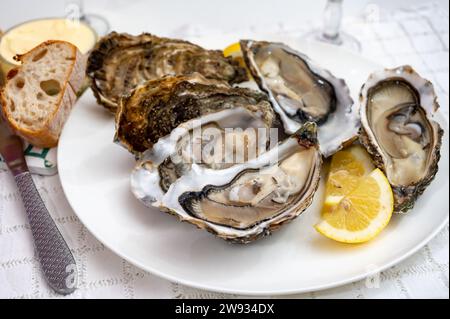 Molluschi di ostriche francesi, olandesi, del pacifico o giapponesi, taglia 1, serviti con limone fresco e pesce crudo Foto Stock