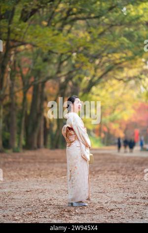 Vista posteriore di una donna che indossa un kimono tradizionale giapponese. Kyoto nella stagione autunnale. Fogliame autunnale giapponese. Foto Stock