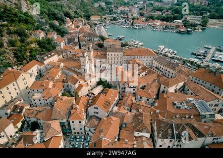 Campanili della Cattedrale di S.. Tryphon tra i tetti rossi delle vecchie case sulla riva del mare. Kotor, Montenegro Foto Stock