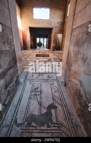 Napoli, Italia - 8 novembre 2023: Ingresso alla Casa del tragico poeta conservato a Pompei arte delle piastrelle mosaiche attenzione al cane a Napoli Foto Stock