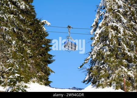 Operazione di seggiovia nella Foresta Nera. Gondola blu tra abeti verdi con neve. Trasporto in funivia per sciatori e snowboard. Germania, Feldberg Foto Stock