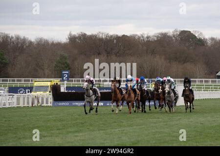 Ascot, Berkshire, 23 dicembre 2023. I piloti dell'ippodromo di Ascot sostengono il concorso Schools Photography Competition Novices' handicap hurdle Race il secondo giorno del weekend Howden Christmas Racing all'ippodromo di Ascot. Proprietario sulle galoppe - Top Cloud. Allenatore Robbie Llewellyn, Swindon. Breeder Wood Farm Stud Credito: Maureen McLean/Alamy Live News Foto Stock