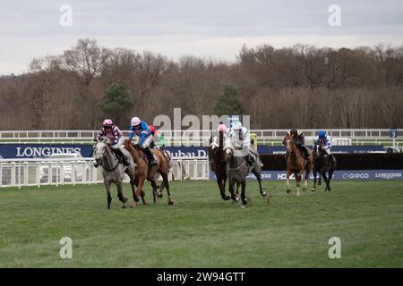 Ascot, Berkshire, 23 dicembre 2023. I piloti dell'ippodromo di Ascot sostengono il concorso Schools Photography Competition Novices' handicap hurdle Race il secondo giorno del weekend Howden Christmas Racing all'ippodromo di Ascot. Proprietario sulle galoppe - Top Cloud. Allenatore Robbie Llewellyn, Swindon. Breeder Wood Farm Stud Credito: Maureen McLean/Alamy Live News Foto Stock