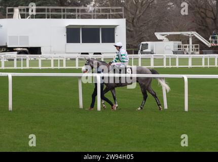 Ascot, Berkshire, 23 dicembre 2023. Horse Top Cloud (n. 9) guidato dal fantino Liam Harrison vincitore dell’Ascot Racecourse sostiene la Schools Photography Competition Novices’ handicap hurdle Race nel secondo giorno dell’Howden Christmas Racing Weekend all’Ascot Racecourse. Proprietario sulle galoppe - Top Cloud. Allenatore Robbie Llewellyn, Swindon. Breeder Wood Farm Stud Credito: Maureen McLean/Alamy Live News Foto Stock