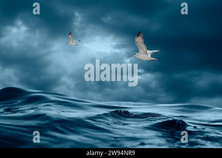 vista dall'angolo basso delle onde oceaniche e di un paio di gabbiani che volano sopra Foto Stock