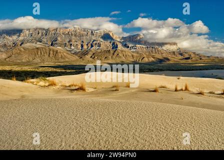 Sale Basin Dunes di fronte alla scarpata occidentale delle montagne innevate di Guadalupe al tramonto, deserto del Chihuahuan, Guadalupe Mtns Natl Park, Texas, USA Foto Stock