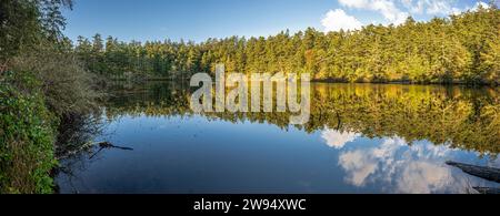 Lago Pondilla nel Fort Ebey State Park, Washington Foto Stock