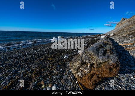 Litorale nel Fort Ebey State Park, Washington Foto Stock