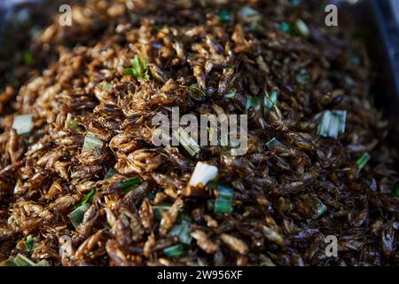 Grilli fritti al mercato di strada Foto Stock