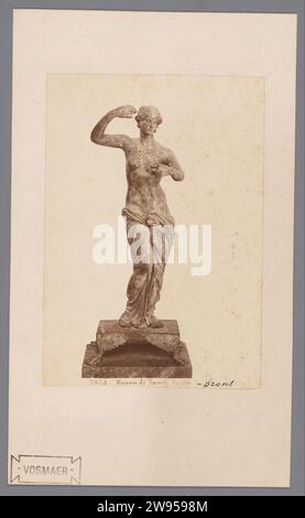 Scultura di Venere nel Museo Nazionale di Napoli, Anonimo, c. 1870 - c. 1890 Fotografia Museo di Napoli carta di Venere. pezzo di scultura stampato con albumi di cartone, riproduzione di un pezzo di scultura. (Storia di) Venere (Afrodite) Museo Nazionale Foto Stock