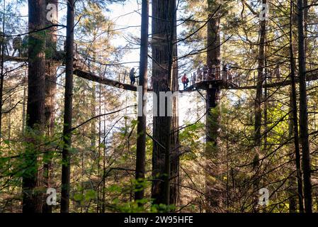 Gente che passa davanti al Ponte sospeso di Capilano Foto Stock