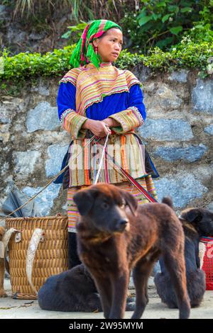 Fiore donna Hmong vendendo cani, mercato di domenica, Bac Ha, Vietnam Foto Stock