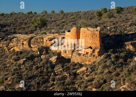 Twin Towers, Hovenweep National Monument, Utah Foto Stock