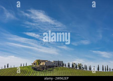 Azienda agricola, Italia Foto Stock