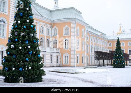 Palazzo di Peterhof con albero di Natale durante l'inverno, a St. Pietroburgo, Russia Foto Stock