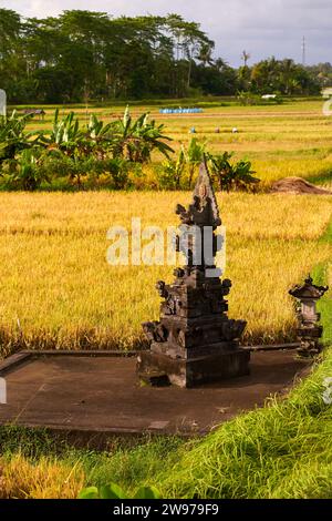 Un tempio sacro monumento per adorare gli dei e fare offerte si trova in un campo di riso Foto Stock