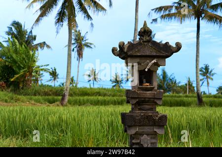 Un tempio sacro monumento per adorare gli dei e fare offerte si trova in un campo di riso Foto Stock