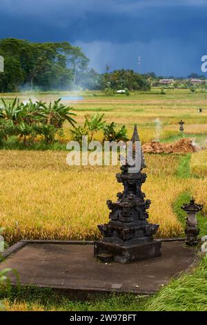 Un tempio sacro monumento per adorare gli dei e fare offerte si trova in un campo di riso Foto Stock