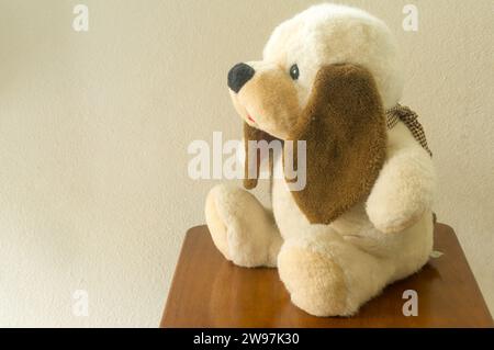 Adorabile bambola per cani seduto sulla sedia con un lato contro la parete della stanza e spazio per le copie per il testo. Simpatica bambola di peluche per bambini o bambini Foto Stock