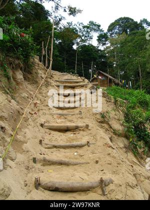 Tribù nel parco nazionale Taman Negara in Malesia Foto Stock