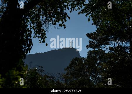 Vista posteriore della silhouette di Cristo Redentore circondata da Foliage Foto Stock