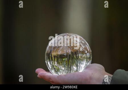 Concetto di ambiente, una sfera di cristallo tenuta in una mano riflette la natura e gli alberi. Concetto e tema della natura, prendiamo cura dell'ambiente Foto Stock