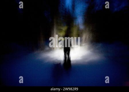 Un uomo si staglia nella neve camminando tra gli alberi sul Monte Rose, Nevada. (Sfocatura movimento) (messa a fuoco morbida) Foto Stock