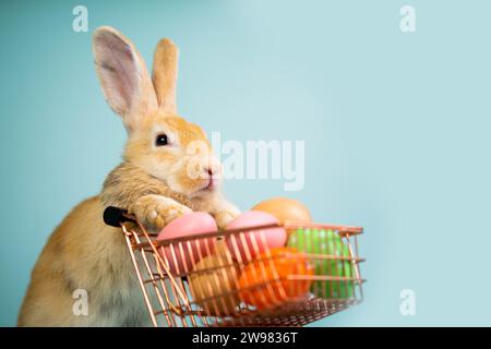 Simpatico coniglietto che spinge un carrello pieno di uova di Pasqua colorate su sfondo blu isolato. Concetto di shopping per le vacanze di Pasqua Foto Stock