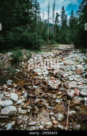 Ruscello sassoso di Waksmundzki negli alti Tatra polacchi Foto Stock