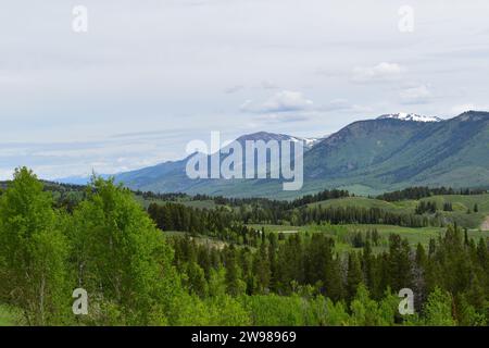 Vista del maestoso paesaggio del Wyoming e delle Montagne Rocciose dal punto panoramico Salt River Pass Foto Stock