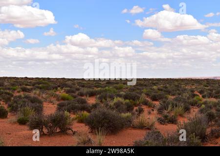 Vista del paesaggio infinitamente pianeggiante del deserto dell'Arizona settentrionale ricoperto di sabbia rossa e vegetazione di salvia Foto Stock