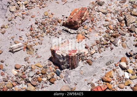 Grandi porzioni di tronchi di minerali cristallizzati sul terreno nel Parco Nazionale della Foresta pietrificata Foto Stock