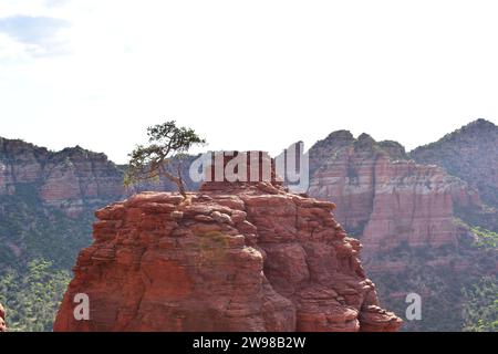 Vista della montagna di arenaria rossa di Bell Rock a Sedona, Arizona Foto Stock