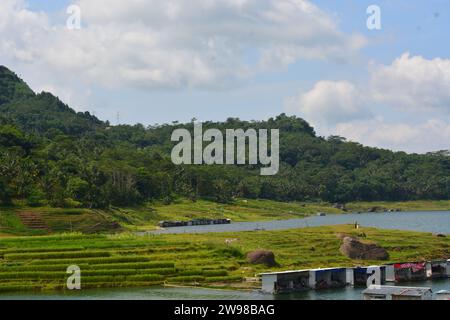 Foto di un serbatoio con uno stagno di acquacoltura di acqua dolce Foto Stock