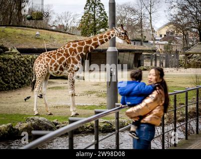 AMSTERDAM - visitatori di Artis il giorno di Natale. Il più antico zoo dei Paesi Bassi si avvolge in un'atmosfera invernale durante i mesi festivi. ANP REMKO DE WAAL netherlands Out - belgium Out Foto Stock